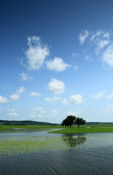 呼伦贝尔湿地风景