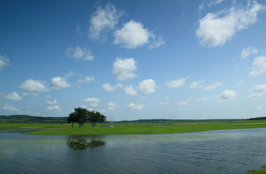 呼伦贝尔湿地景色