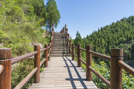 登山云梯