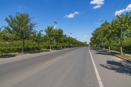 两边绿树的沥青公路通向远方