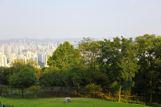 城市背景