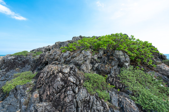 海南博鳌山钦湾礁石