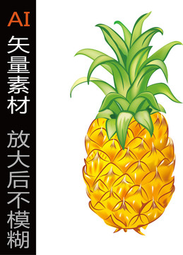 菠蘿矢量