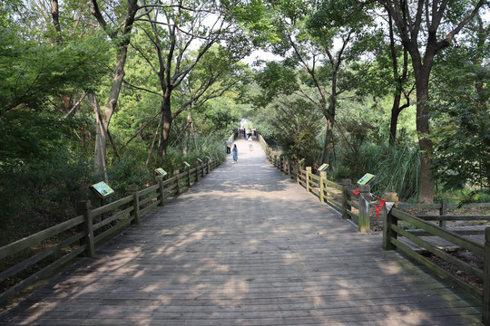 吴淞炮台湿地森林公园