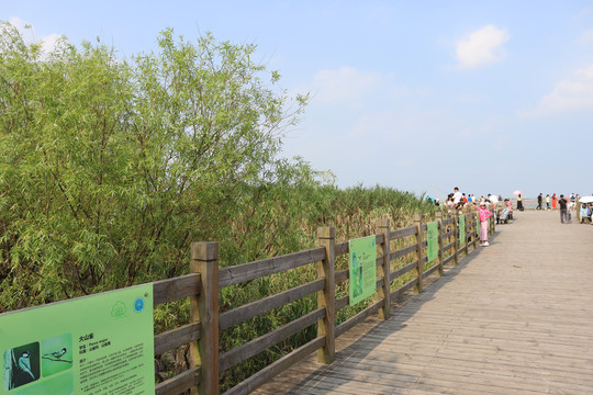 吴淞炮台湿地森林公园