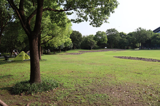 吴淞炮台湿地森林公园