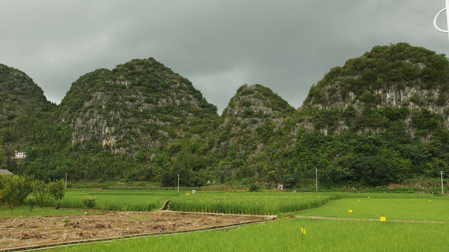 贵州万峰林