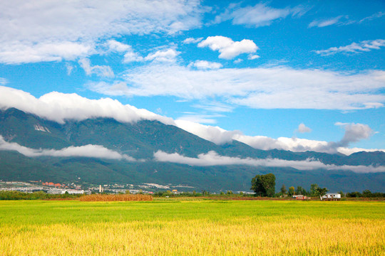 乡村风景