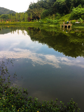 湿地公园田园风光