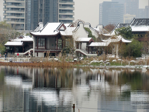 沙湖公园雪景