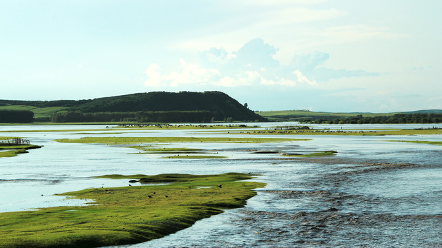 呼伦贝尔湿地