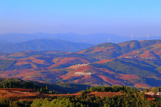 东川红土地