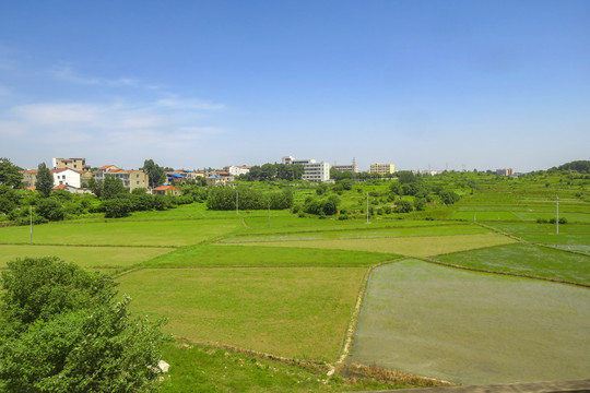 江南田野风光