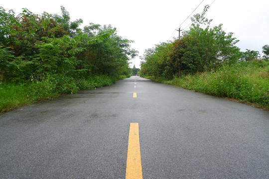 乡村道路