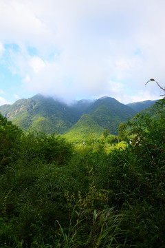 大山