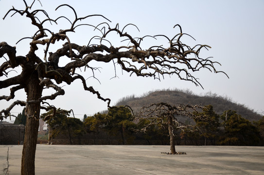 邙山景陵