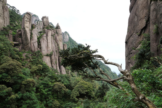 高山风景