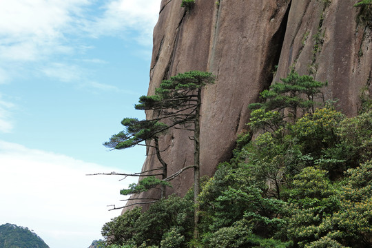 黄山风光