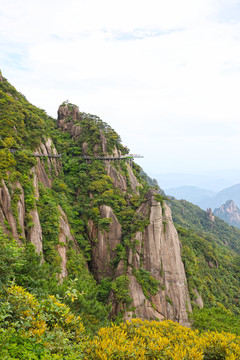 大山自然景观