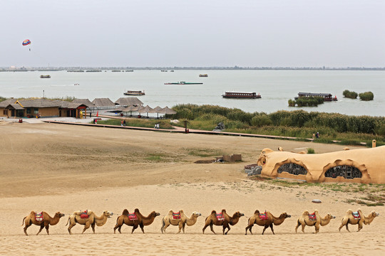 宁夏沙湖生态旅游风景区