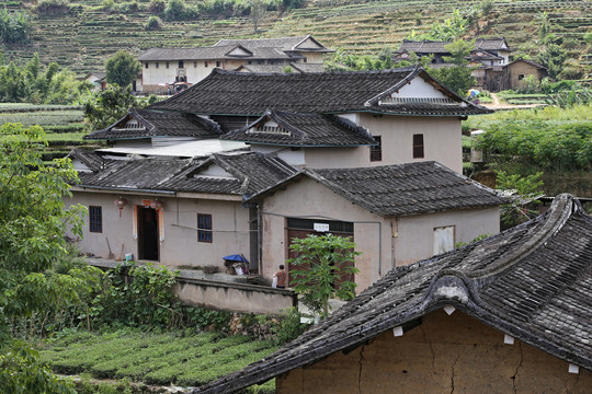 福建民居大地土楼群