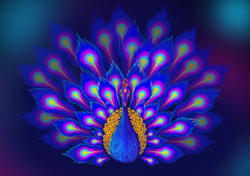 手繪孔雀