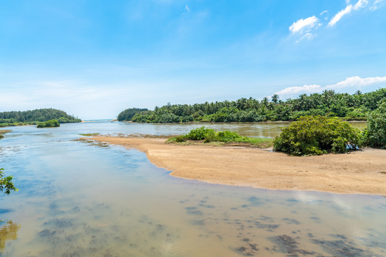 海南万宁龙滚河湿地生态保护区