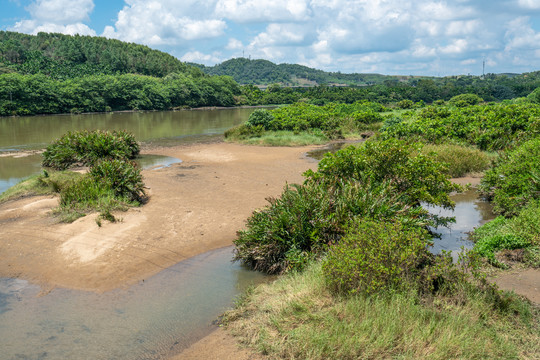 海南万宁龙滚河湿地生态保护区