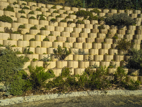 植物盆栽墙