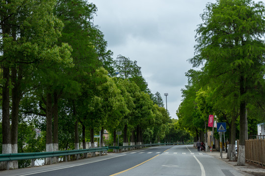 乡村公路