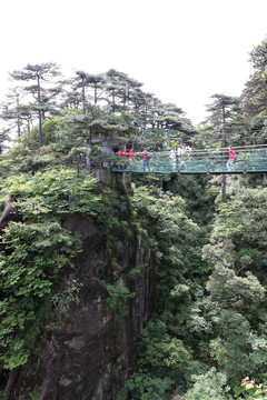 峡谷悬索桥