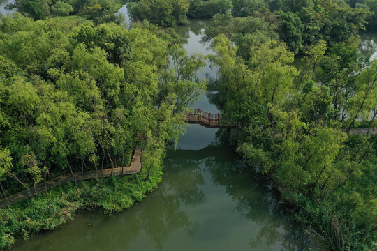 杭州西溪湿地