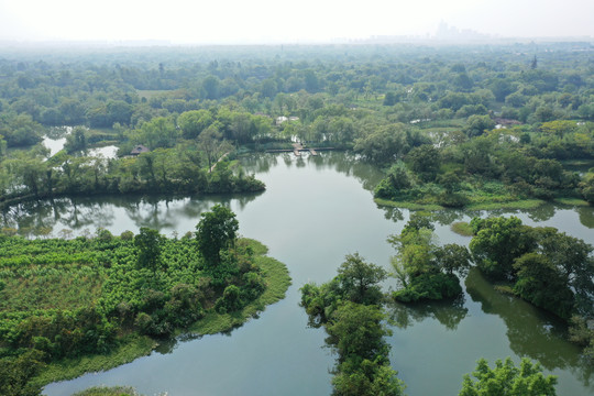 杭州西溪湿地