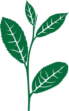 茶葉