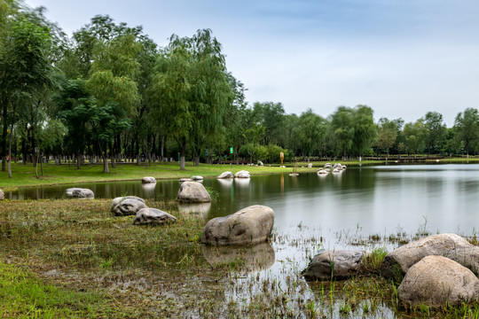 西安紫薇湖湿地公园