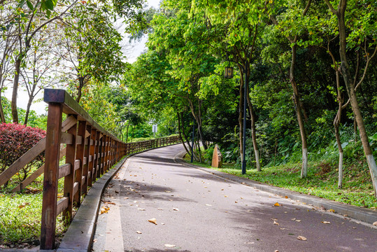 道路