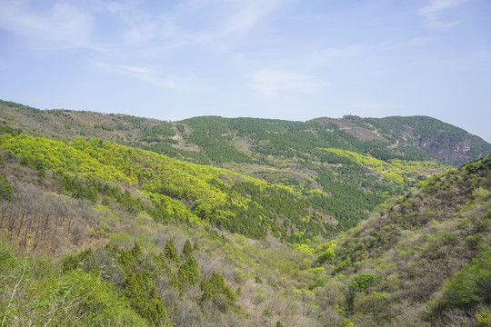 北京西山林场