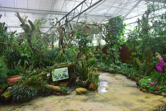 植物园林造景