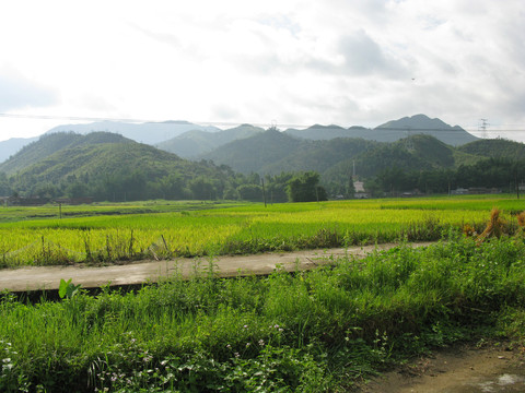 广东农村