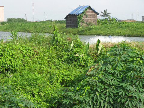 农场小屋