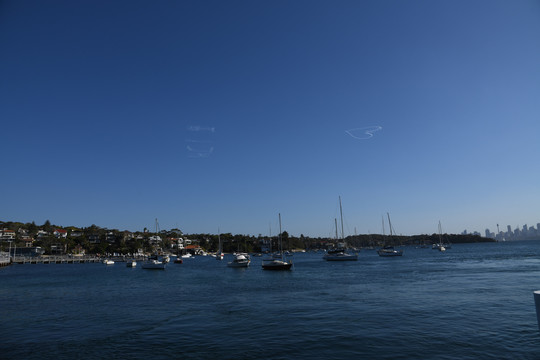 悉尼游船海景
