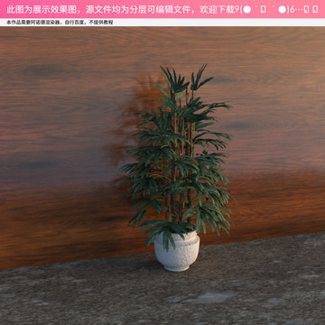 C4D盆栽模型