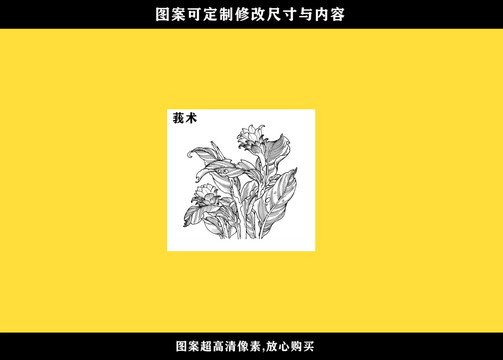 莪術(shù)
