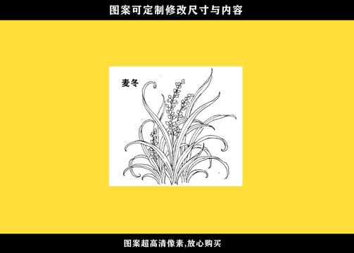 麥冬中草藥
