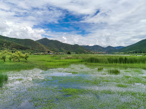 泸沽湖草海