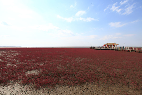 盘锦红海滩