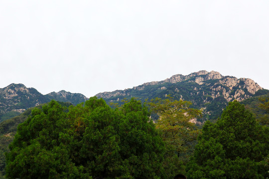 泰山风景