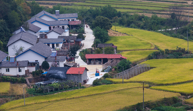 农村风光