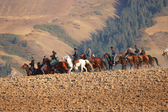 马背上的热血竞哈萨克族叼羊比赛