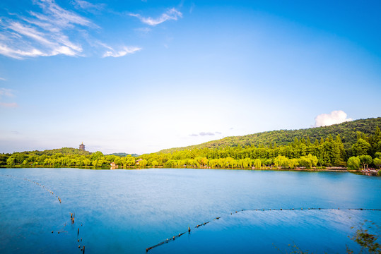 杭州西湖夏日风光